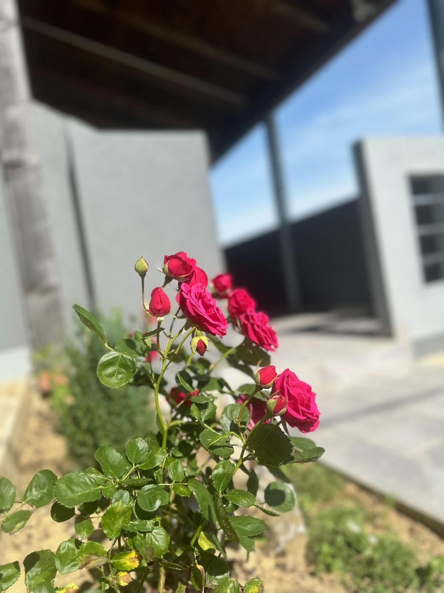 הוילה סבטי מרטין נה מורי Kuca Za Odmor Mare מראה חיצוני תמונה